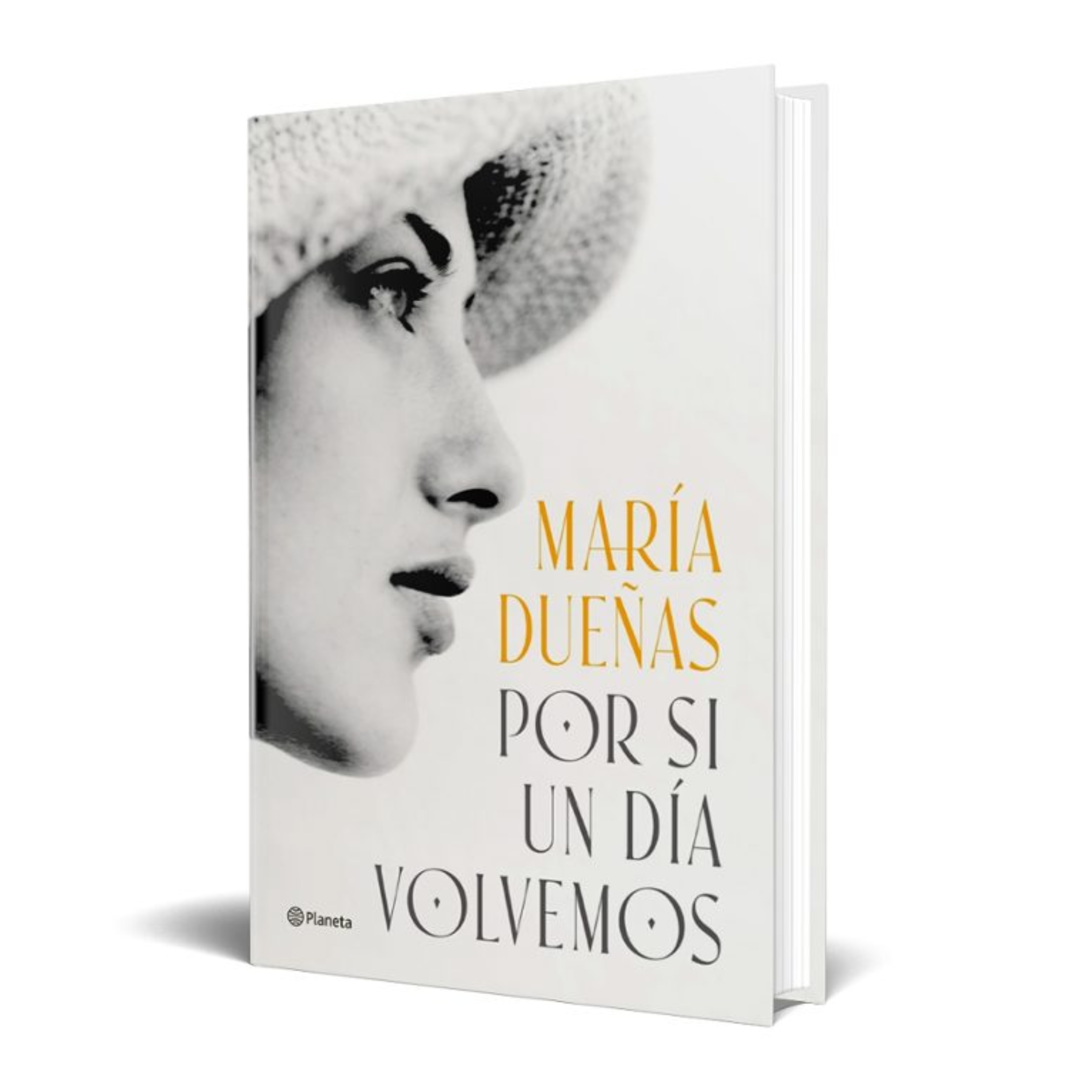 POR SI UN DÍA VOLVEMOS - María Dueñas